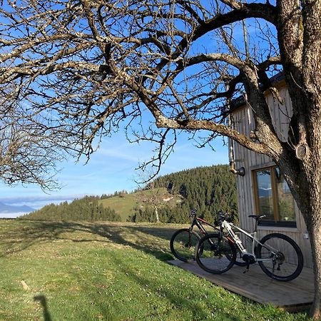 Villa Tiny House à Mislinja Extérieur photo