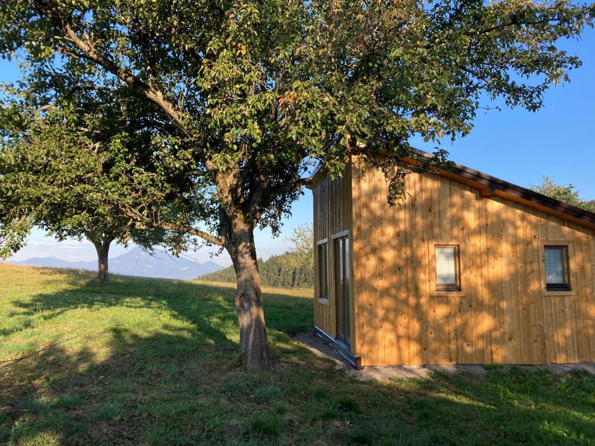 Villa Tiny House à Mislinja Extérieur photo