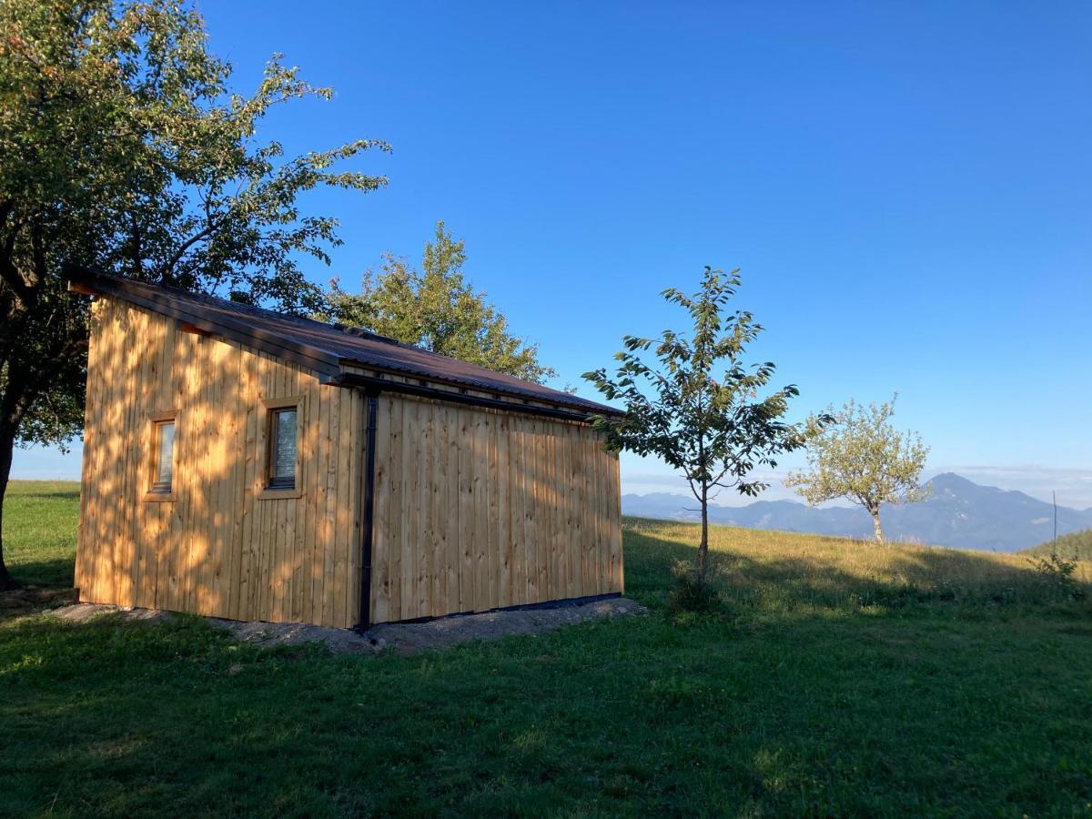 Villa Tiny House à Mislinja Extérieur photo