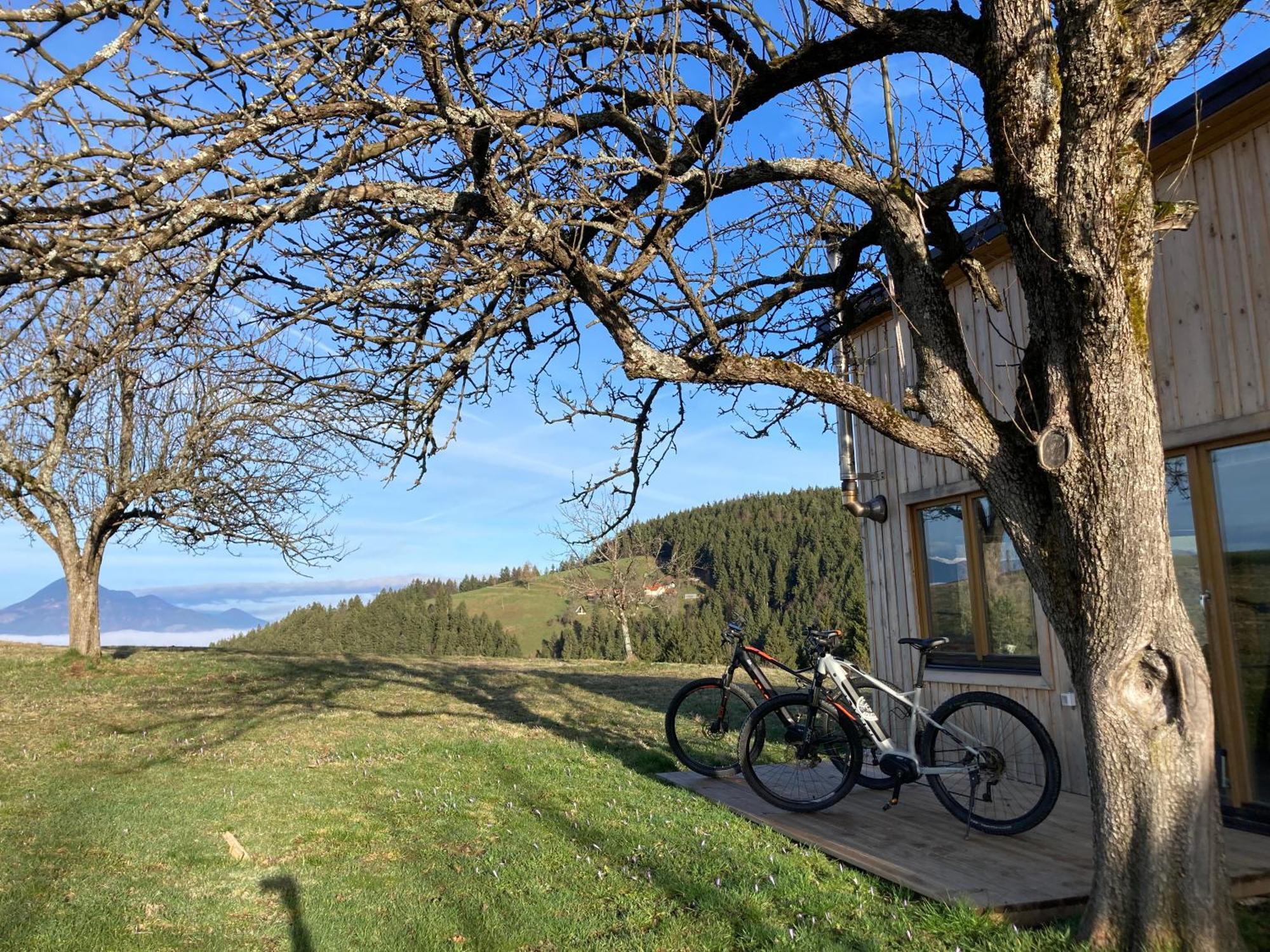 Villa Tiny House à Mislinja Extérieur photo